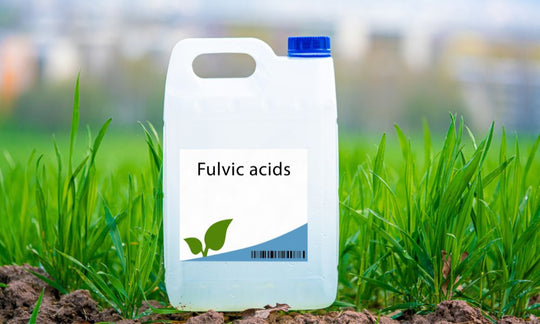 Differences Between Humic and Fulvic Acid