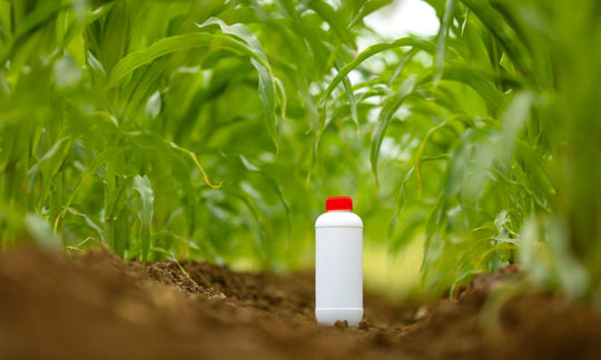Everything You Need To Know About Humic Acid