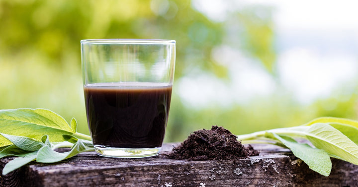 A glass of brown liquid sits on a piece of wood surrounded by leafy plants and dirt. A tree stands in the background.