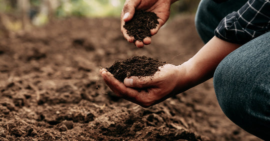 A close-up of a person's hands picking up handfuls of soil. The person is kneeling and wearing a flannel shirt.
